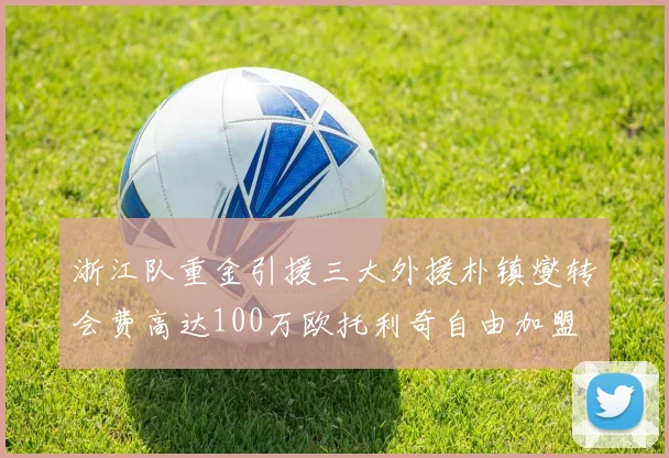 浙江队重金引援三大外援朴镇燮转会费高达100万欧托利奇自由加盟